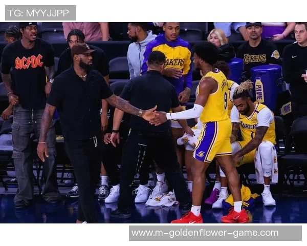 湖人对骑士比赛深度分析及双方近期状态对比